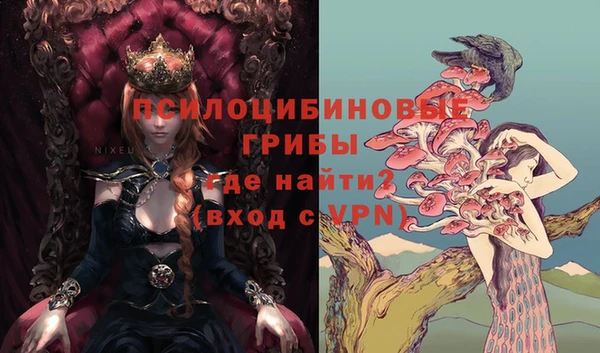 apvp Бронницы