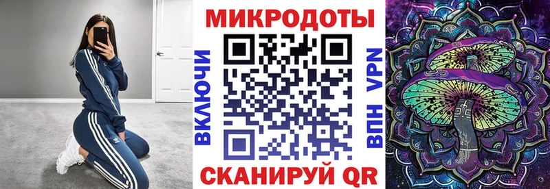 Галлюциногенные грибы Psilocybine cubensis  KRAKEN ONION  Гусев 