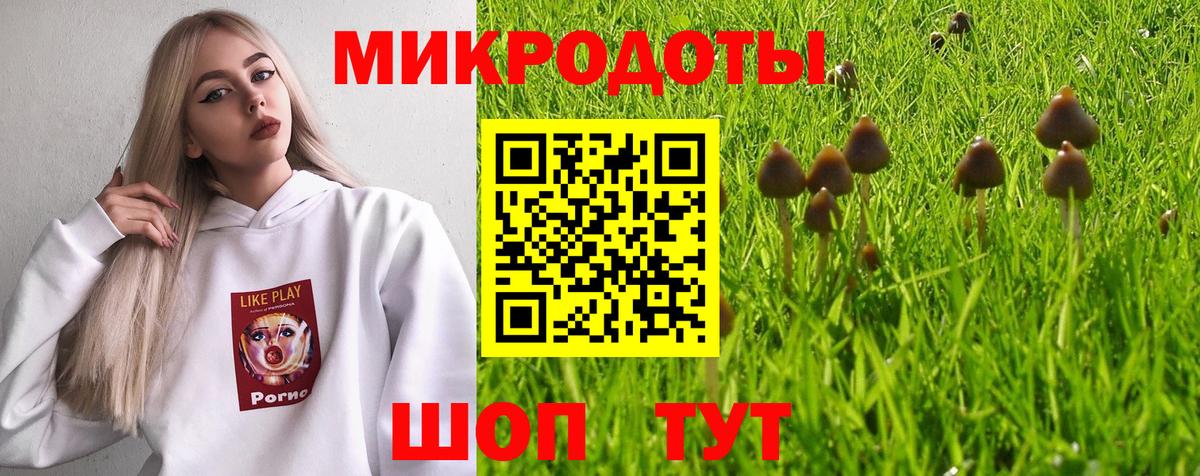 Галлюциногенные грибы мухоморы Гусев