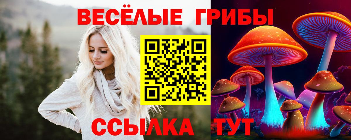 Псилоцибиновые грибы Psilocybe Гусев