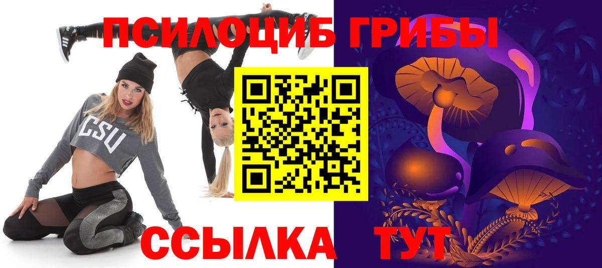 Псилоцибиновые грибы MAGIC MUSHROOMS  Вход с VPN  где найти   Гусев 
