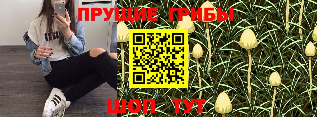 Галлюциногенные грибы GOLDEN TEACHER  Гусев  Галлюциногенные грибы MAGIC MUSHROOMS 